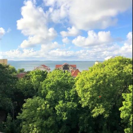 Appartement Vue Sur Baie Et Ocean, 100 M De La Plage Et Du Centre Par Chemin Prive Αρασόν Εξωτερικό φωτογραφία