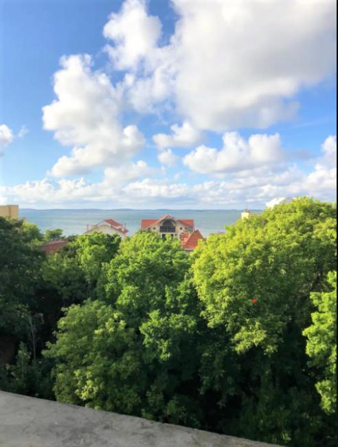 Appartement Vue Sur Baie Et Ocean, 100 M De La Plage Et Du Centre Par Chemin Prive Αρασόν Εξωτερικό φωτογραφία